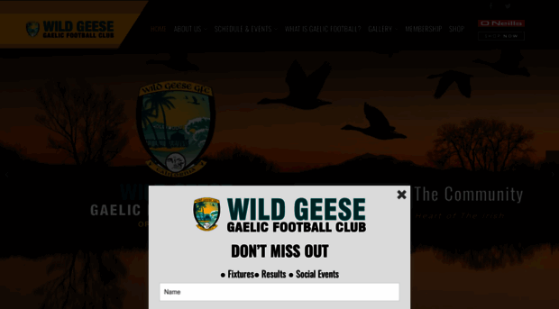 wildgeesegfc.org