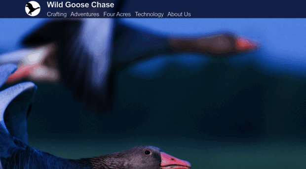 wildgoosechase.net