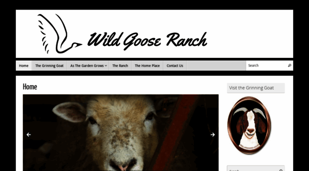 wildgooseranch.com