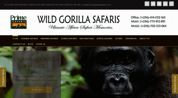 wildgorillasafaris.com