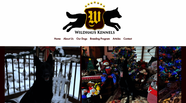 wildhauskennels.com