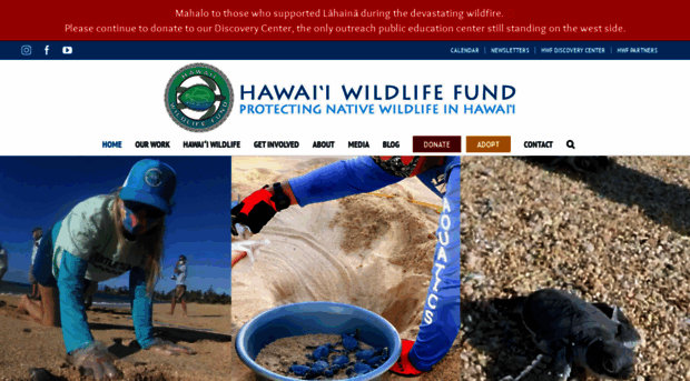 wildhawaii.org