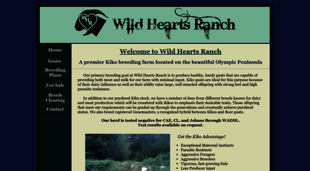 wildheartsranch.org