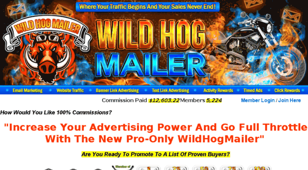 wildhogmailer.com