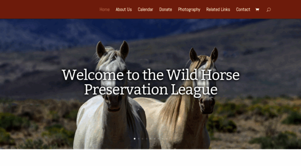 wildhorsepl.org