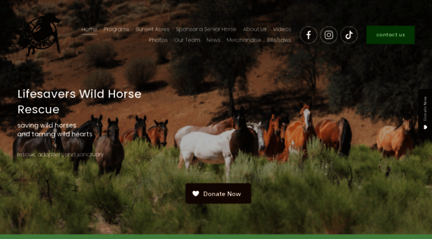 wildhorserescue.org