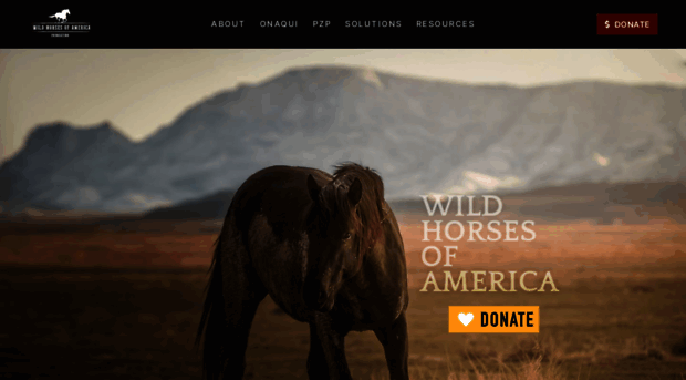 wildhorses.org