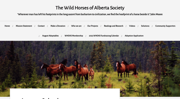 wildhorsesofalberta.com