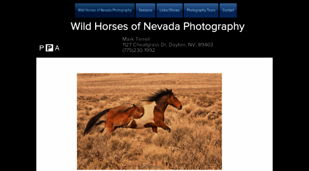 wildhorsesofnevadaphoto.com