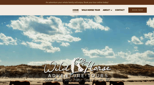 wildhorsetour.com