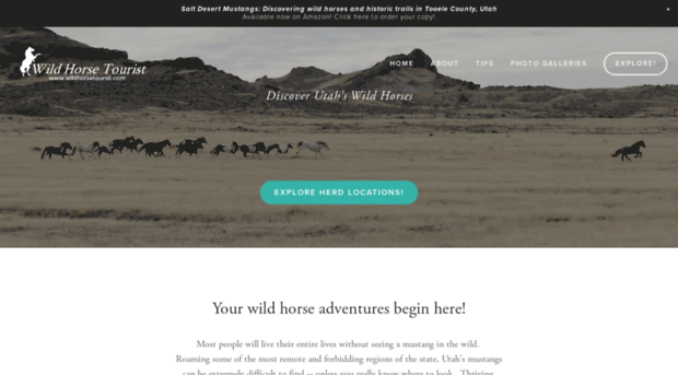 wildhorsetourist.com