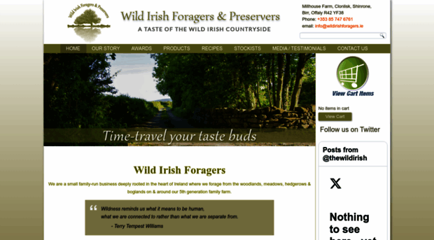 wildirishforagers.ie