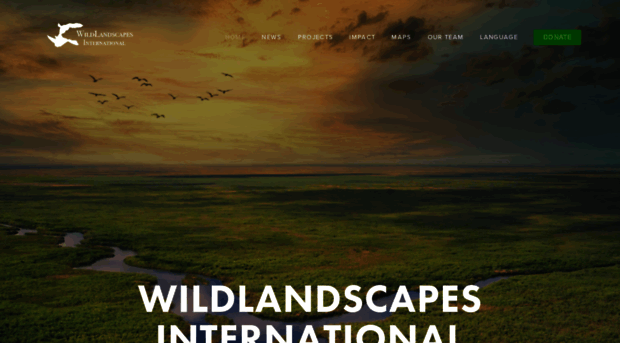 wildlandscapes.squarespace.com