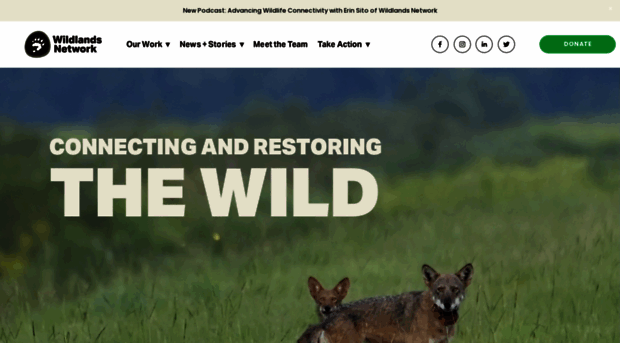 wildlandsnetwork.org