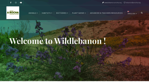 wildlebanon.org