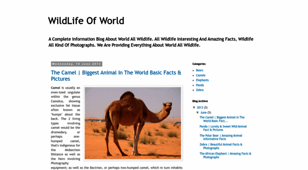 wildlife-animalz.blogspot.com