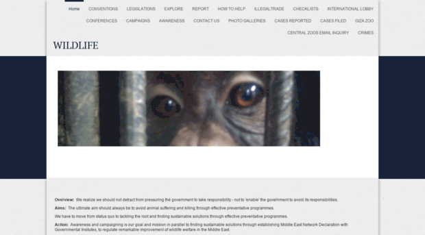 wildlife-eg.yolasite.com