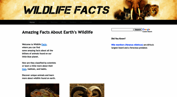 wildlife-facts.weebly.com