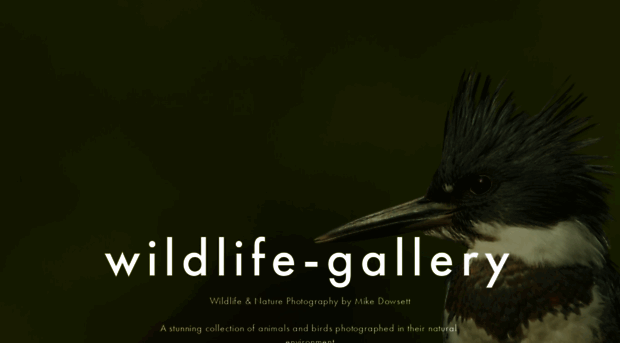 wildlife-gallery.com