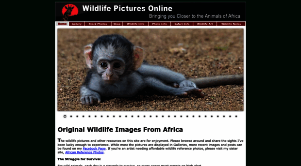 wildlife-pictures-online.com
