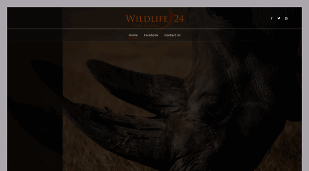 wildlife24.com