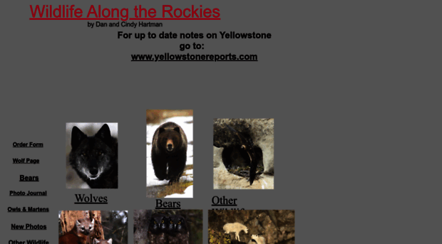 wildlifealongtherockies.homestead.com