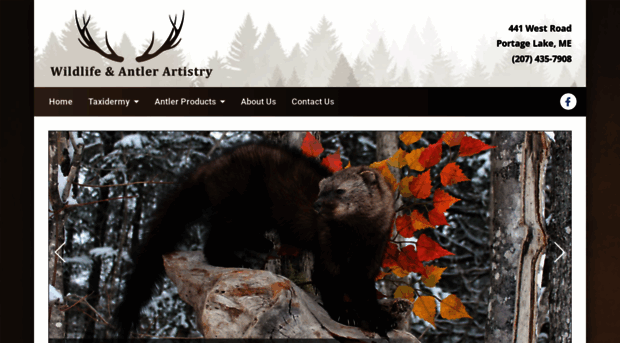 wildlifeartistry.net