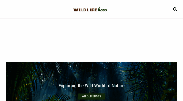 wildlifeboss.com