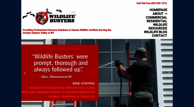 wildlifebusters.com