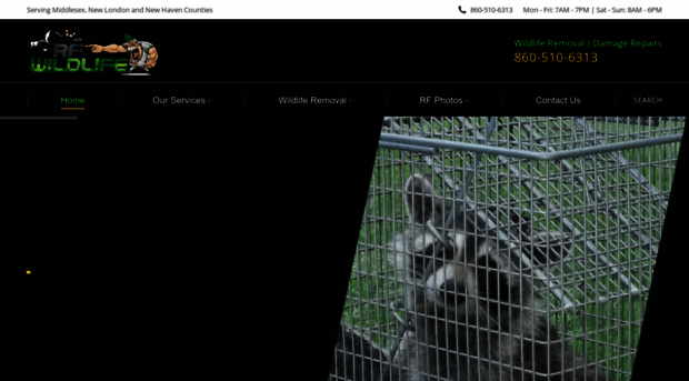 wildlifecontrolct.com