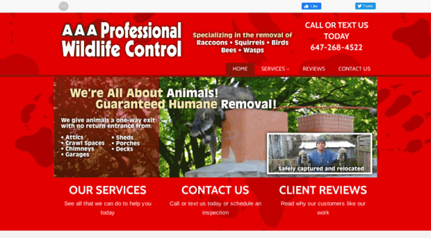 wildlifecontrolservice.ca