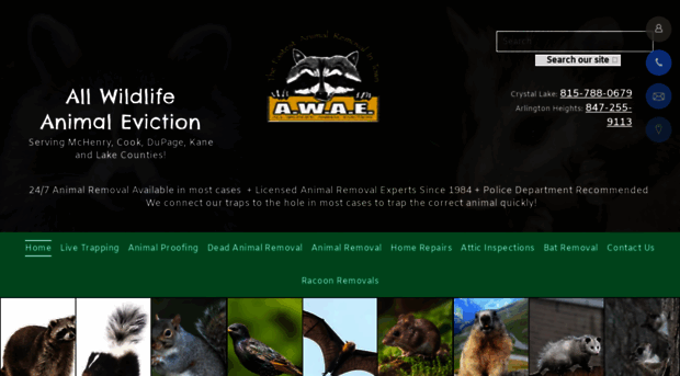 wildlifeeviction.com