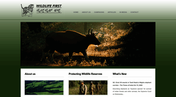 wildlifefirst.info