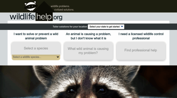 wildlifehelp.org