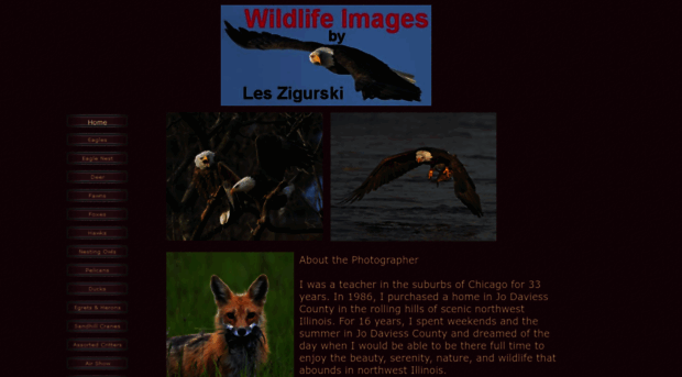 wildlifeimagesbyles.net