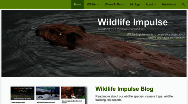 wildlifeimpulse.com