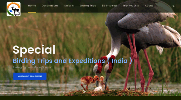 wildlifeindia.co.uk