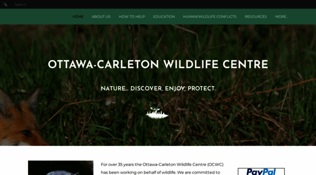 wildlifeinfo.ca