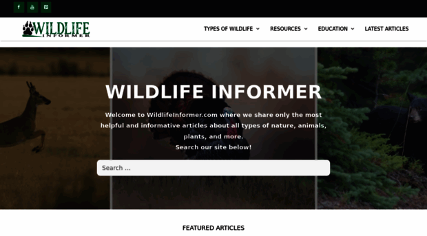 wildlifeinformer.com