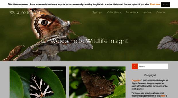 wildlifeinsight.com