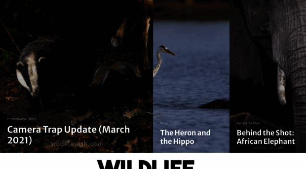 wildlifejosh.com