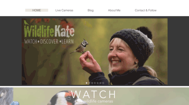 wildlifekate.co.uk