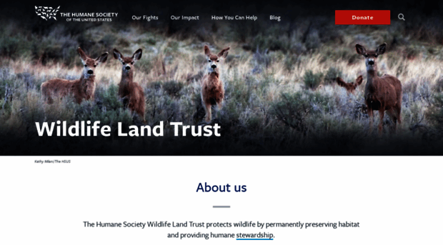 wildlifelandtrust.org