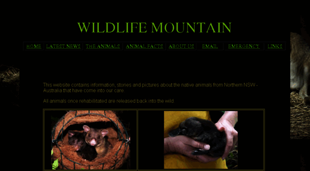 wildlifemountain.com