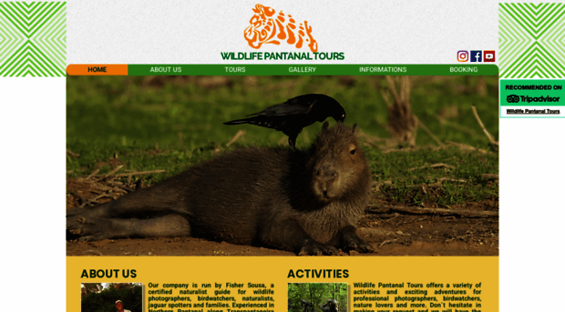wildlifepantanaltours.com