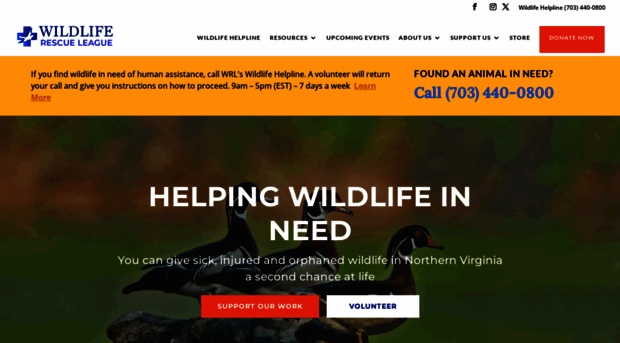 wildliferescueleague.org