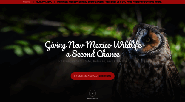 wildliferescuenm.org