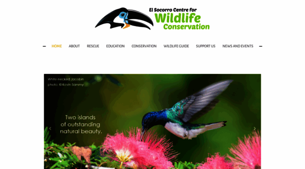 wildliferescuett.org