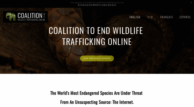 wildlifetradetracker.org