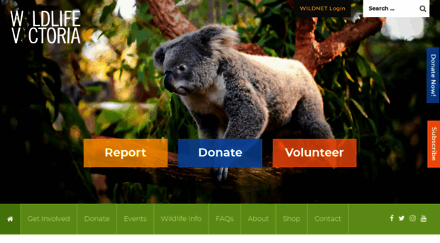 wildlifevictoria.org.au